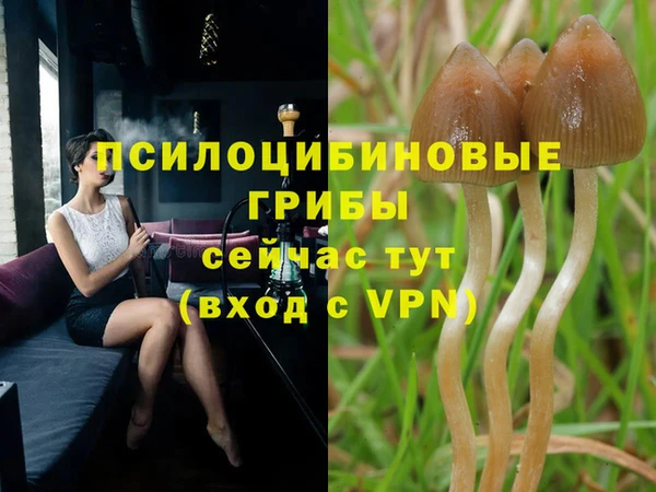 mdpv Бронницы